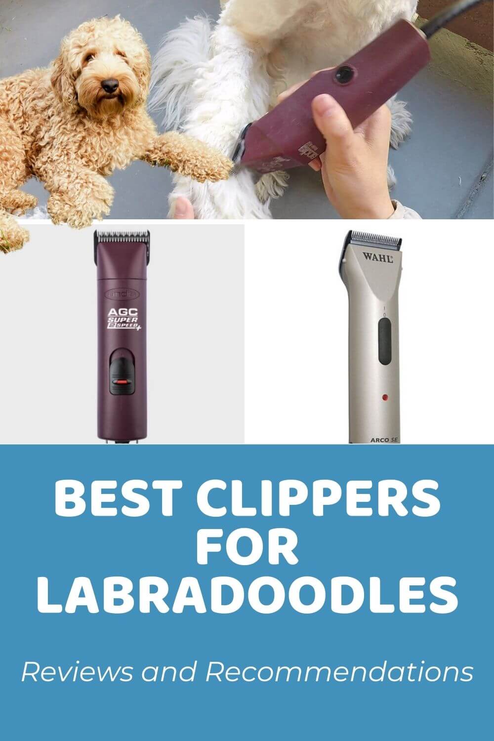 dog clippers blade size chart